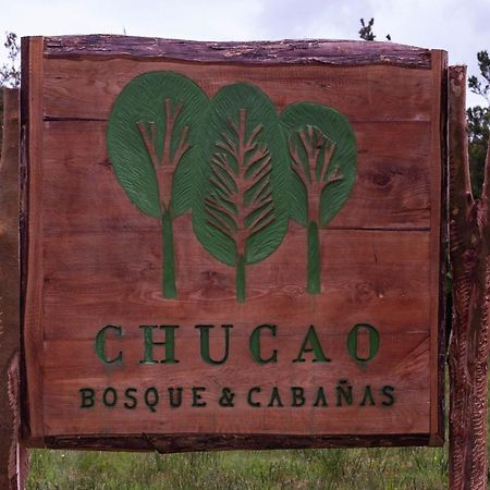 Chucao Bosque Y Cabanas Chaiten Luaran gambar